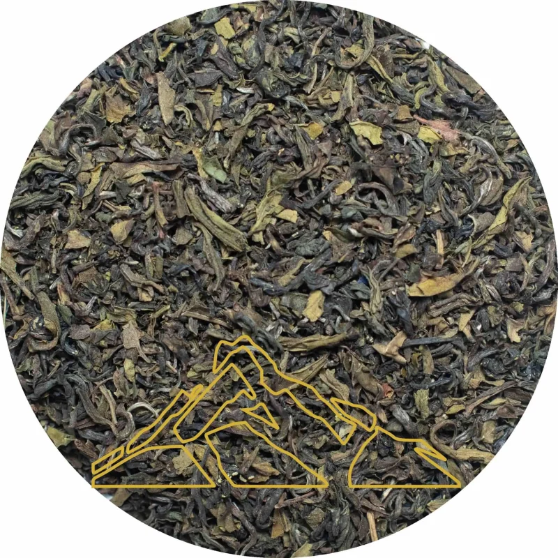 Emerald Mist • High Mountain | Signature Green