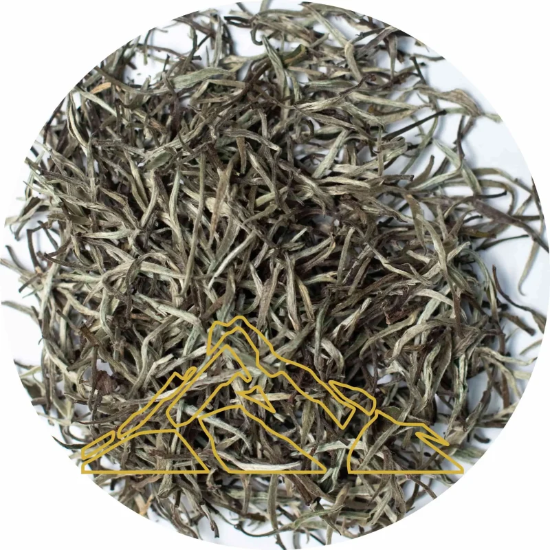 Silver Dawn • Grand Reserve | Himalayan Silver Needle