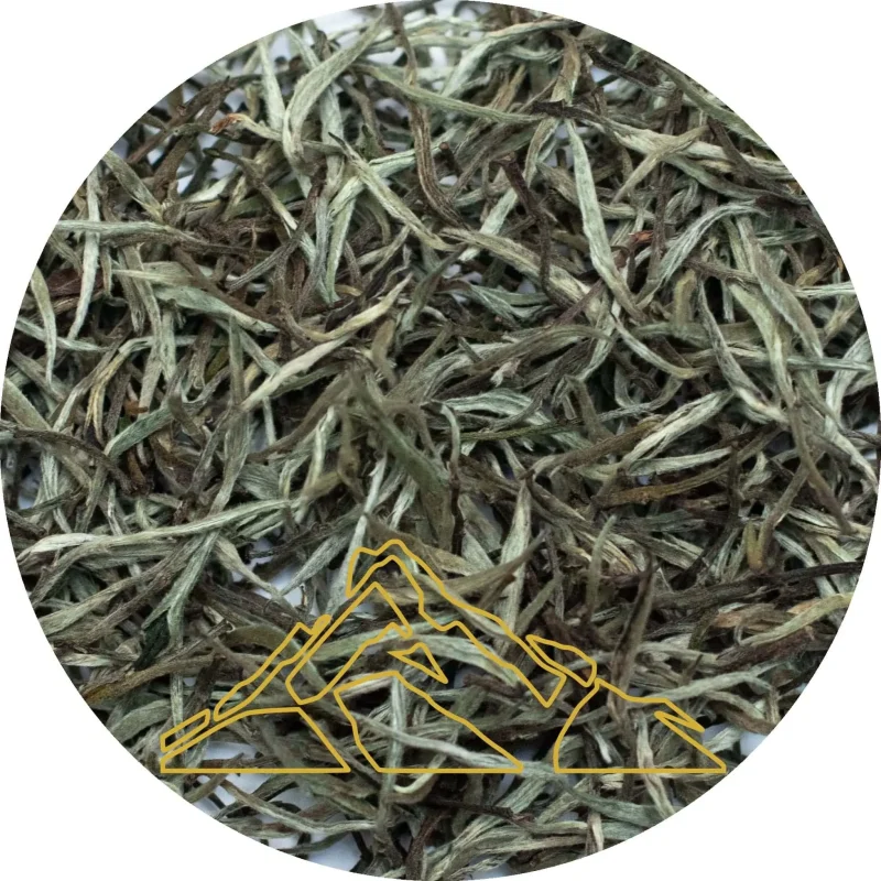 Silver Dawn • Select | Himalayan White Leaf