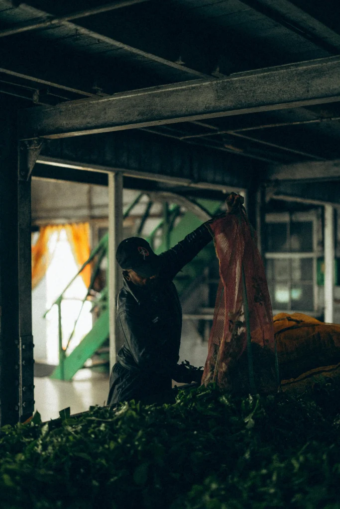 The Art of the Cold-Wither